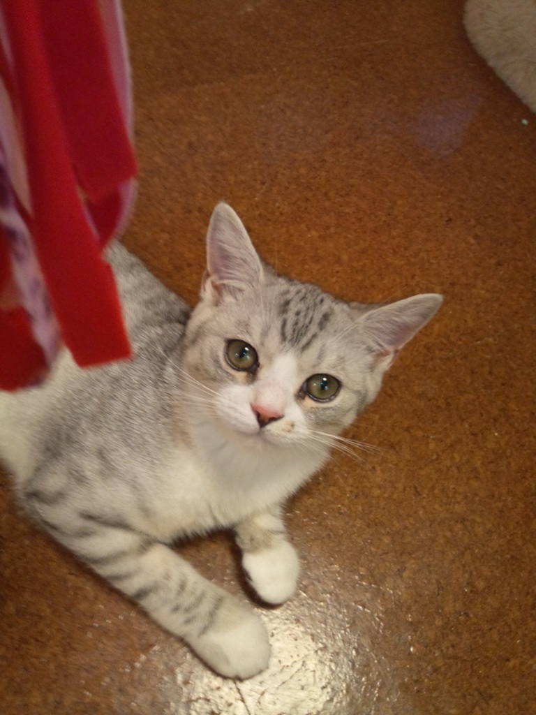 DSC_0410.jpg